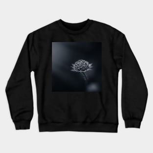 Looking for the Sun Crewneck Sweatshirt